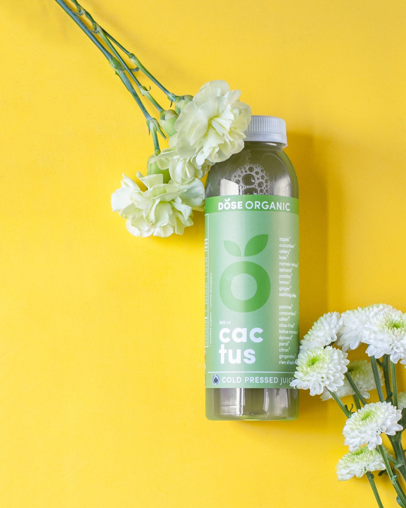 Asthma Article Image